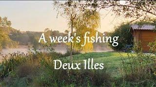 Carp fishing in france - Deux Iles 2022