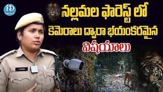 Amrabad Tiger Reserve రాత్రులు జంతువులు ఏం చేస్తాయో తెలిస్తే షాక్ అవుతారు! | iDream Telangana