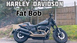 2023 Harley-Davidson fat bob review. Should you buy a Harley Davidson? The best cruiser?