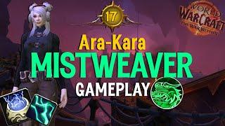 +17 Ara Kara | Top Mistweaver POV 