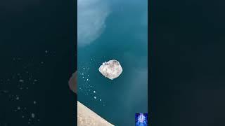 Giant Snowball falling from 8th floor = Satisfying explosion