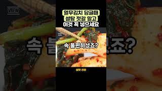 열무김치 담글때 설탕 젓갈 말고 이것 꼭 넣으세요 #영양식 #건강관리#건강식단