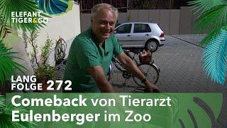 Ein Professor auf Stippvisite (Langfolge 272) | Elefant, Tiger & Co. | ARD