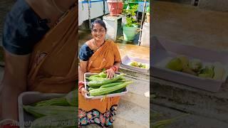 ଏ ବର୍ଷ ଶେଷ ଜହ୍ନି ଆଉ କାକୁଡି ଅମଳ#harvestvegetables #terracegarden#harvesting #vegitables#garden