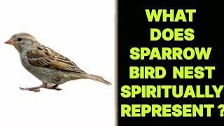 WHAT DOES SPARROW BIRDS NEST SPIRITUALLY REPRESENT ?