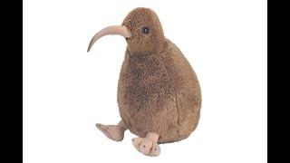 kiwi