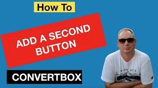 How To Add a Second Button In Convertbox