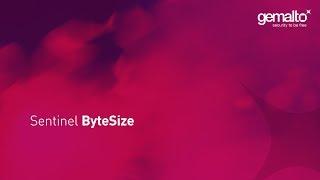 How to issue and deploy Sentinel LDK Trialware licenses