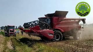 Żniwa 2020. Test polowy kombajnu CAse IH Axial Flow 6150 w Puszynie.