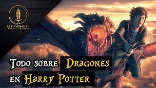 Todo lo que tienes que saber sobre Dragones si eres fan de Harry Potter