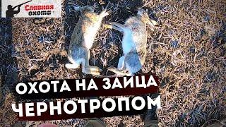 Охота на зайца по ЧЕРНОТРОПУ 2019\\Охота на зайца 2019\\Славная Охота