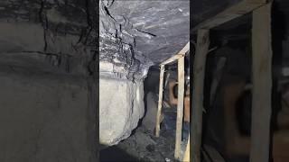 Could you Survive this job for 5$ #mining #satisfying #minecraft #mining