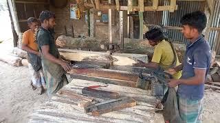 RAIN TREE (Samanea saman) Wood Amazing Machine Cutting Skills। Rain Tree Wood Village Way of Cutting