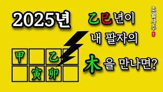 [2025년 운세] 을사년이 내 사주의 목(木)에 끼치는 영향!