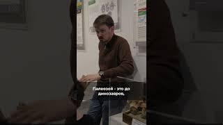 Где искать динозавров #динозавры #поиск #раскопки