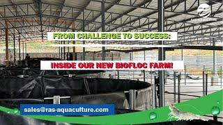 FROM CHALLENGE TO SUCCESS: INSIDE OUR NEW BIOFLOC FARM! | BIOFLOC SHRIMP FARMING EXPANSION