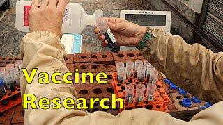 Vaccine Research With Our Colonies