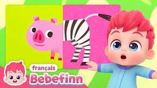 Avez-Vous Déjà Vu une Queue ? | Chanter avec Bebefinn | Bebefinn françaisChansons pour Enfants