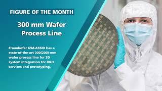 RealIZM Figure of the Month: 300 mm Wafer Process Line