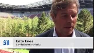 For Forest - Landschaftsarchitekt Enzo Enea im Interview