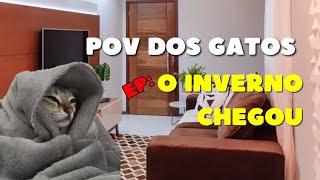 POV dos gatos: o frio chegou no Brasil