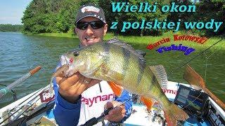 POTĘŻNY OKOŃ Z POLSKI | okon na spinning | wielki okoń na jaskółkę z toni | wędkarstwo spinningowe