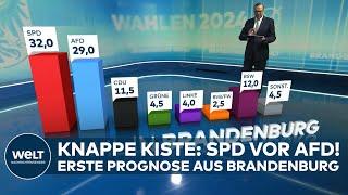 LANDTAGSWAHL IN BRANDENBURG - Erste Prognose: SPD knapp vor AfD! BSW & CDU kämpfen um Platz 3