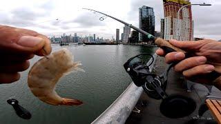 East River Fishing. Manhattan NYC Pier Fishing Shrimp Bait