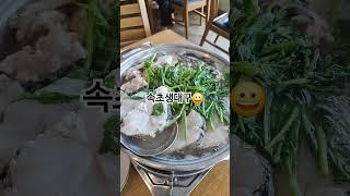 속초생대구 #속초맛집 #대구탕 #생대구탕