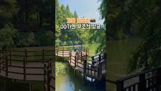 충북 여행 추천! 가을엔 무조건 여기다!!