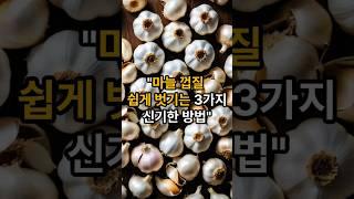 마늘껍질 쉽게 벗기는방법ㅣ건강상식ㅣ건강정보