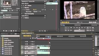 Эффект Прозрачности (Opasity) в Adobe Premiere Pro