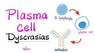 Multiple Myeloma, Waldenström macroglobulinemia, MGUS, MGRS - Plasma Cell Dyscrasias - Introduction