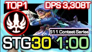 [S11 TOP1] Gladiator STG30 1:00 Rotation / DPS 3,308 Trillion / Dragon Nest China