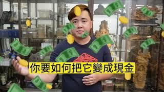 沉香新手，六種沉香千萬不要買!!