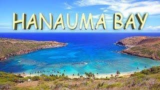 Hanauma Bay -  Oahu, Hawaii 4K