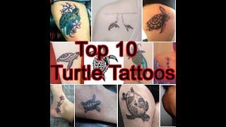 Top 10 Turtle Tattoos | Popular Turtle Tattoos Collection | Different Types Of Turtle Tattoos Design