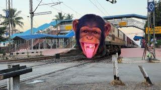 Dangerous chimpanzee headed Padatik Express Furious Honking Moving Out Railgate