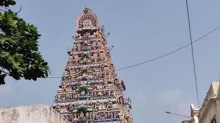 Mylapore temple neighborhood street walk - Wonder tours Chennai