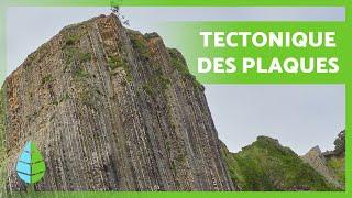 Qu'est-ce que les PLAQUES TECTONIQUES ?  (Définition, Types et Conséquences)