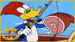 Woody Woodpecker Show | Surf Crazy | 1 Hour Compilation | Cartoons For Children