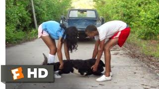 Bad Lucky Goat (2017) - Watch Out for the Goat! Scene (2/6) | Movieclips