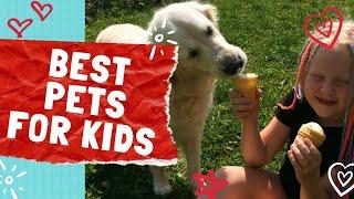 Best pets for kids | Low maintenance and kids friendly Animal