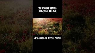 화엄경 1분 요약 #화엄경 #불교 #깨달음