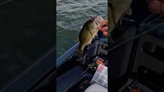 Fishing Blackbass, pesca Blackbass