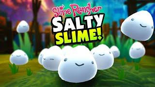 The NEW SALTY SLIMES Are Slimes You Can Create - Slime Rancher Mods