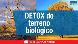 Detox do Terreno Biológico