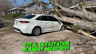 Trees are on nearly every house | tornado cleanup