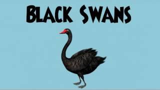 Black Swans in Risk Management