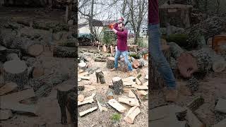 Thick, KNOTTY Ash Logs split with the 6 LB Splitting Maul #firewood #asmr #splittingfirewood